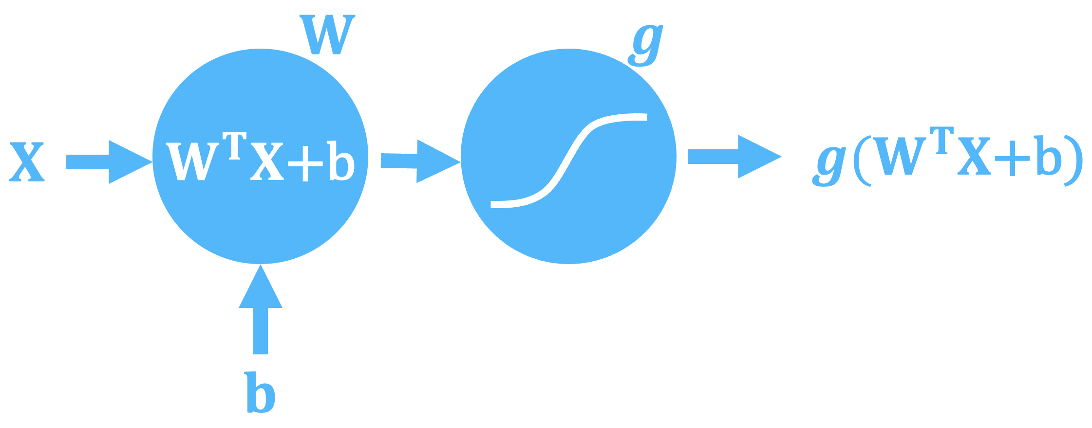 A diagram of a basic neuron